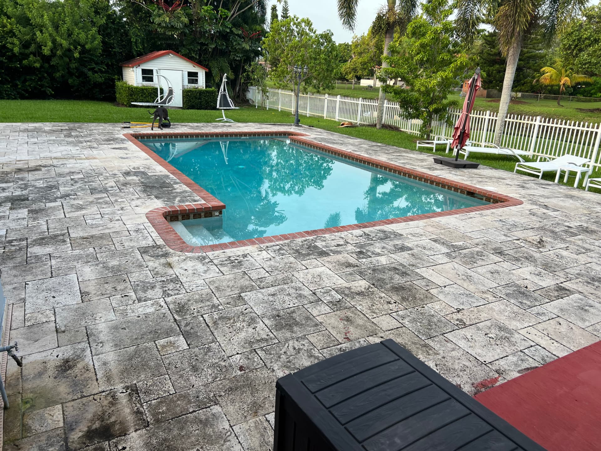 Travertine pool deck with grey organic buildup before cleaning
